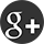 Google icon